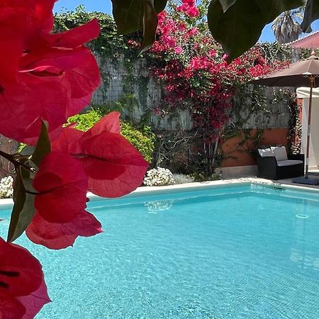 Studio With Private Swimming Pool And Garden Cascais Kültér fotó